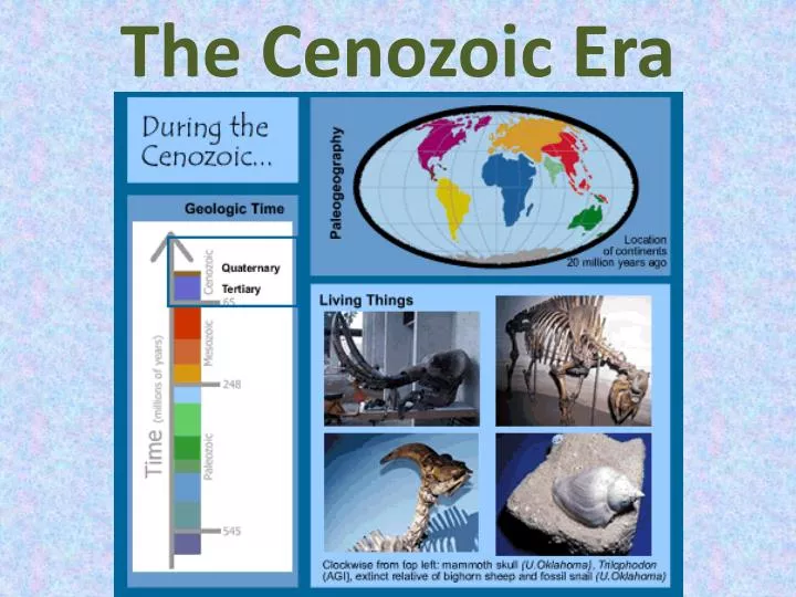 the cenozoic era