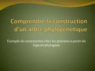 comprendre la construction d un arbre phylog n tique