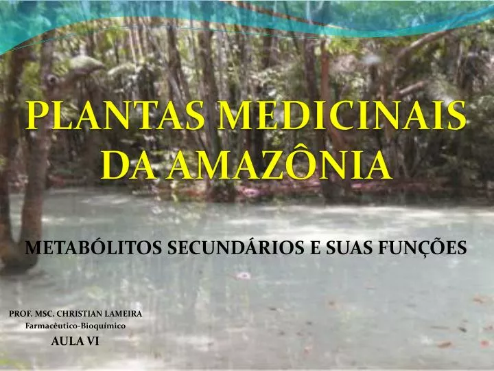 plantas medicinais da amaz nia