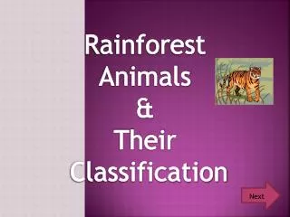 Rainforest Animals &amp; Their Classification