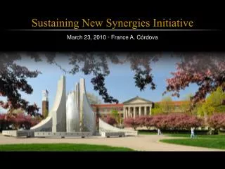 Sustaining New Synergies Initiative