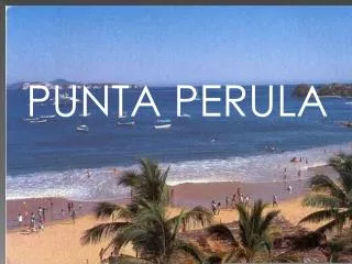 PUNTA PERULA