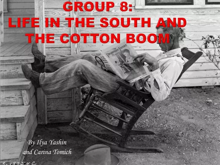 group 8 life in the south and the cotton boom