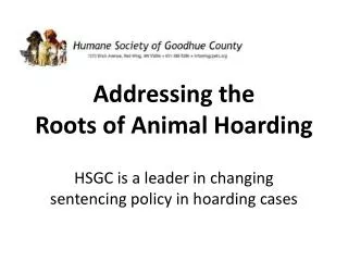 Addressing the Roots of Animal Hoarding