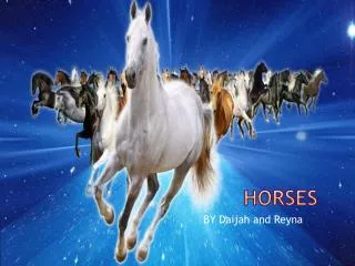 Horses