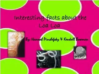 Interesting facts about the Loa Loa
