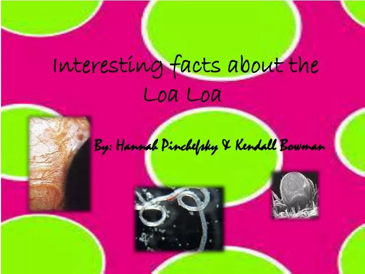 interesting facts about the loa loa