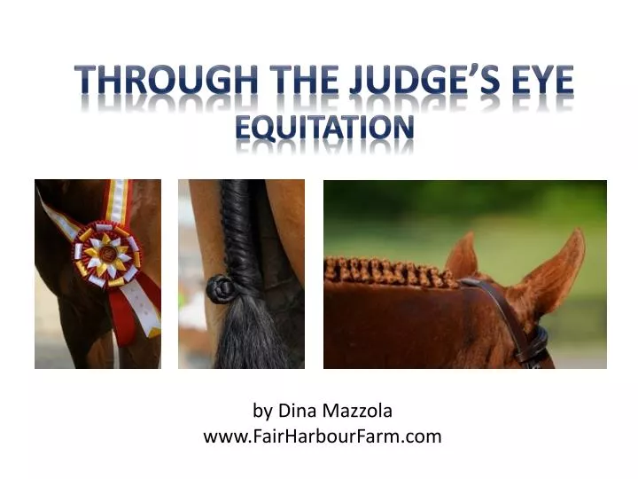 through the judge s eye equitation