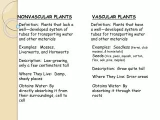 NONVASCULAR PLANTS