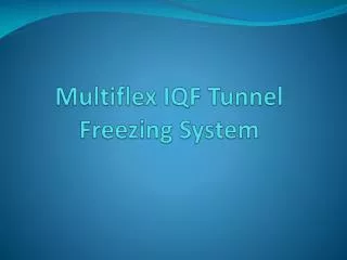 Multiflex IQF Tunnel Freezing System