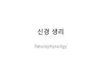 신경 생리 - slide 1