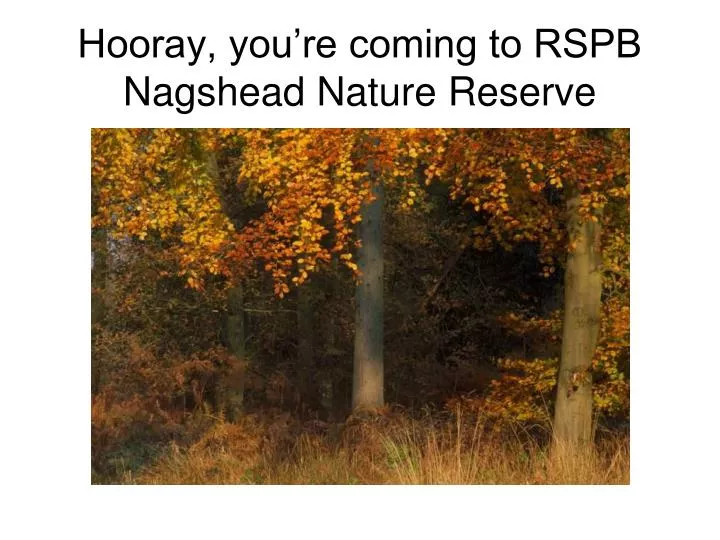 hooray you re coming to rspb nagshead nature reserve