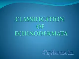 CLASSIFICATION OF ECHINODERMATA