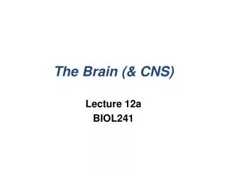 The Brain (&amp; CNS)