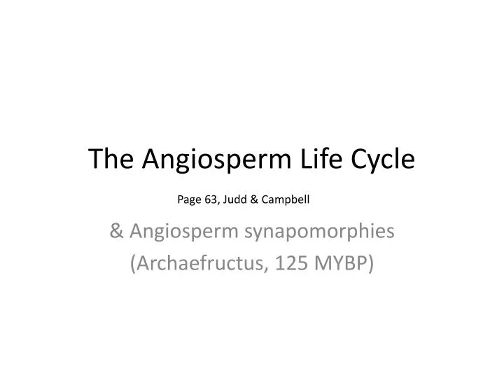 the angiosperm life cycle