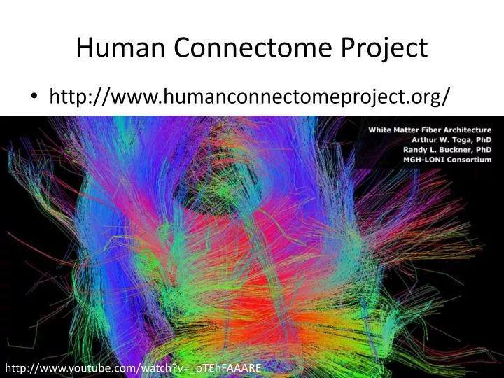 human connectome project