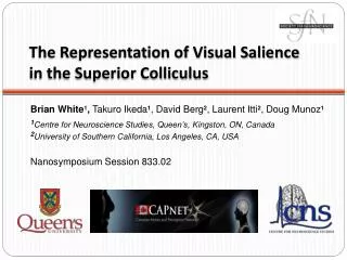 The Representation of Visual Salience in the Superior Colliculus