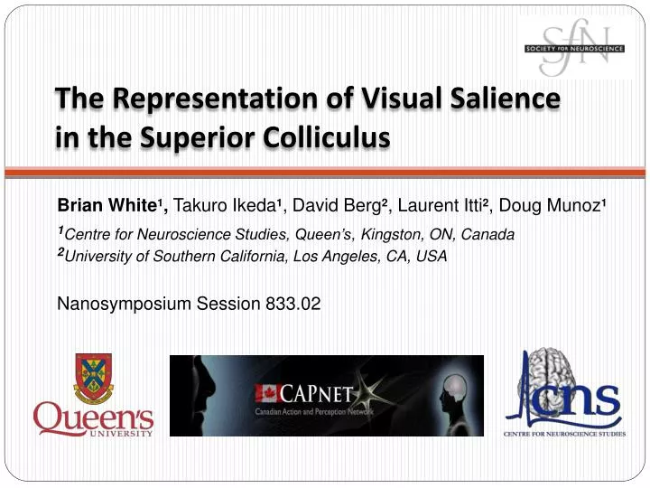 the representation of visual salience in the superior colliculus