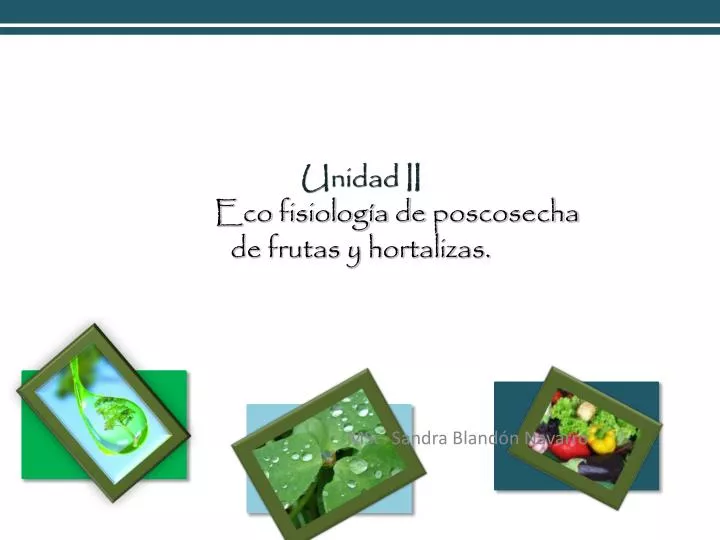 unidad ii eco fisiolog a de poscosecha de frutas y hortalizas