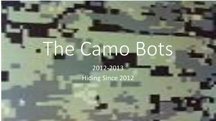 the camo bots