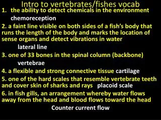 Intro to vertebrates/fishes vocab