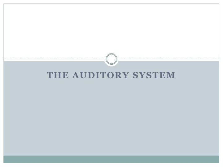 the auditory system