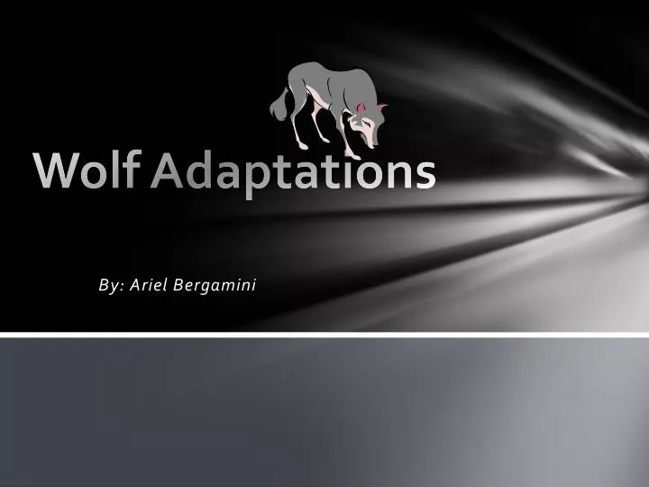 wolf adaptations