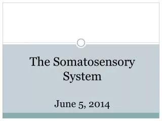 The Somatosensory System June 5, 2014