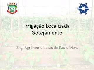 irriga o localizada gotejamento