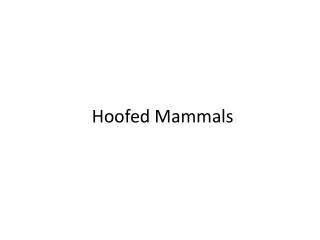 Hoofed Mammals