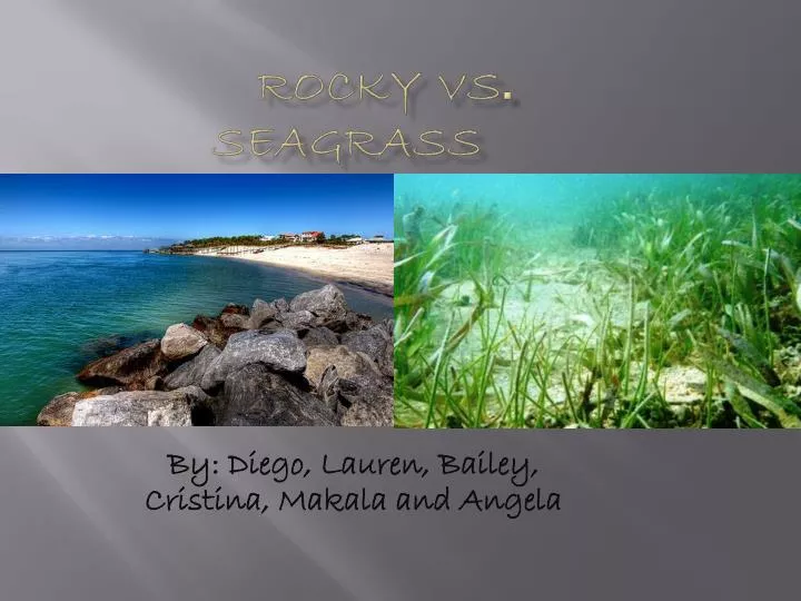 rocky vs seagrass