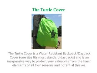 The Turtle Cover