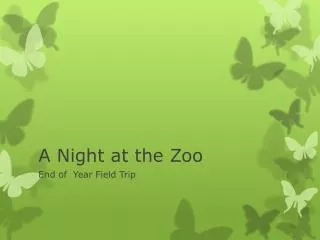 A Night at the Zoo