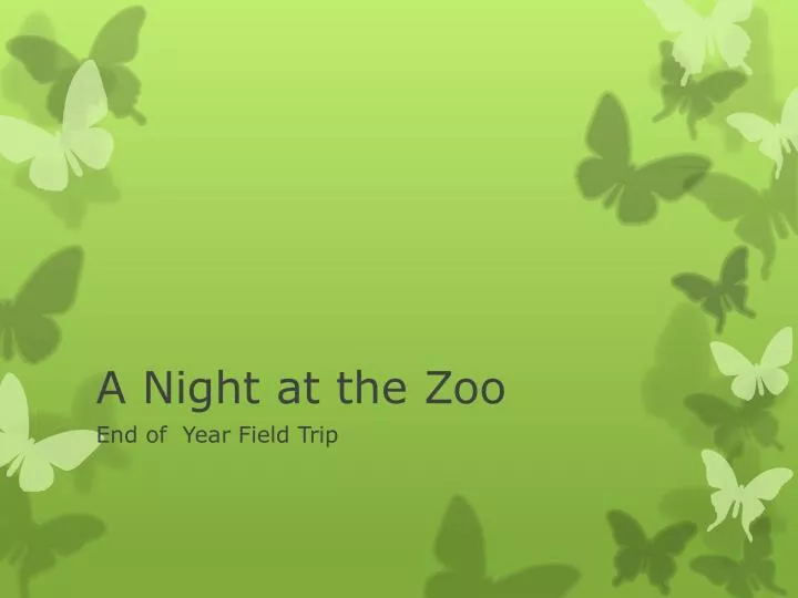 a night at the zoo