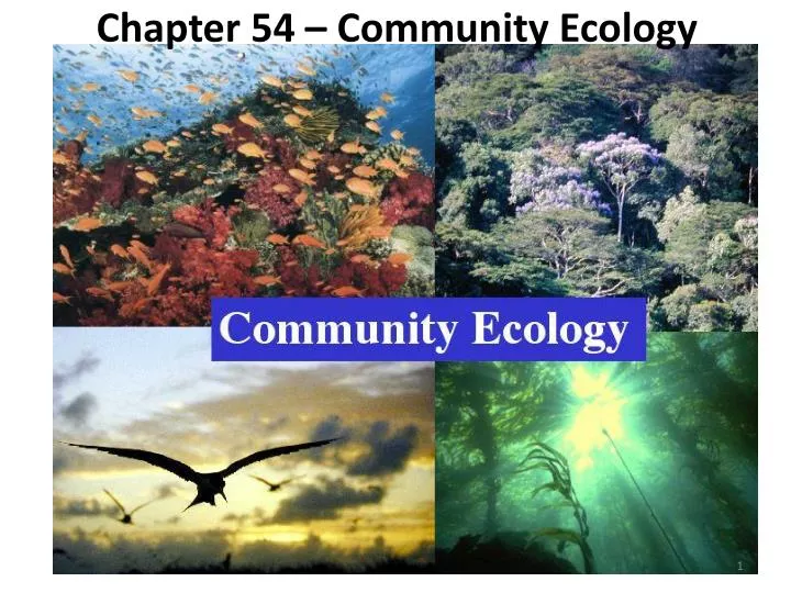 chapter 54 community ecology