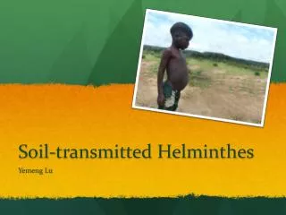 Soil-transmitted Helminthes