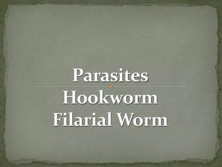 parasites hookworm filarial worm