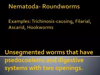 Nematoda - Roundworms Examples: Trichinosis-causing, Filarial, Ascarid , Hookworms