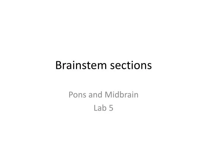 brainstem sections