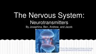 The Nervous System: Neurotransmitters By Josephina, Ben, Andrew, and Jacob