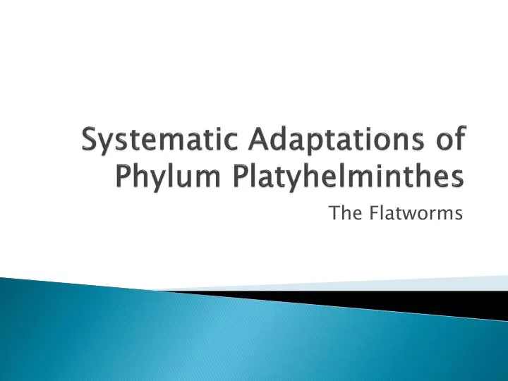 systematic adaptations of phylum platyhelminthes