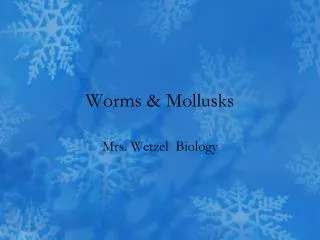 Worms &amp; Mollusks
