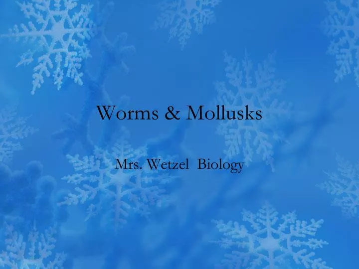 worms mollusks