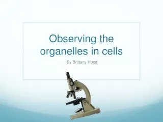 Observing the organelles in cells