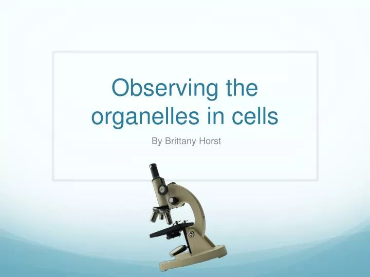 observing the organelles in cells
