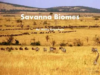 Savanna Biomes