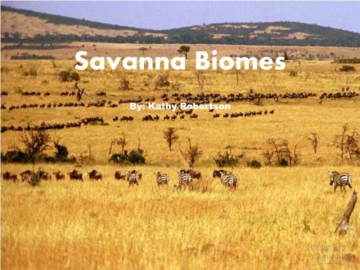 savanna biomes