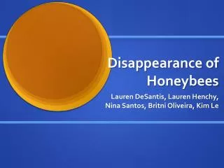 Disappearance of Honeybees