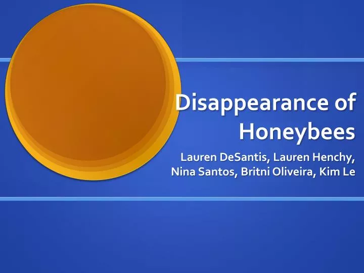 disappearance of honeybees