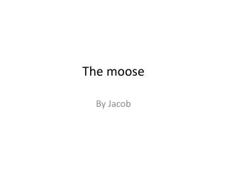 The moose